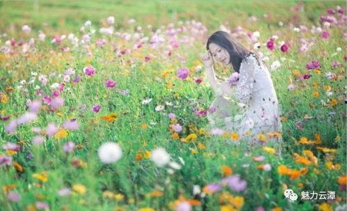 春暖花开 在线观看,在线赏花之旅  第1张