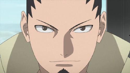 鹿丸忍界爆料视频,揭秘忍界背后的惊人真相  第3张